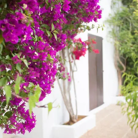 Nieves Is A Beautiful Set In A Rural Location Yet It Is Still Only A 5 Minute Drive From And San Rafael *